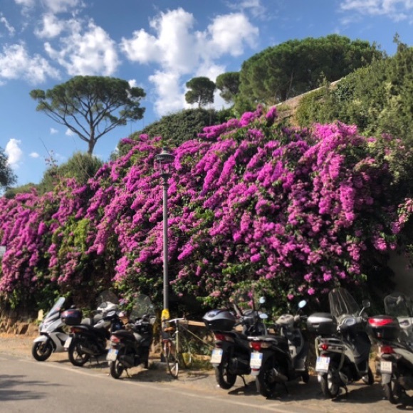 Poshmark Ambassador Blake Lyons - Picture 2 of 8